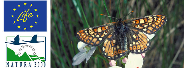 Natura 2000 image of a marsh fritillary butterfly Natura 2000 image of a marsh fritillary butterfly
