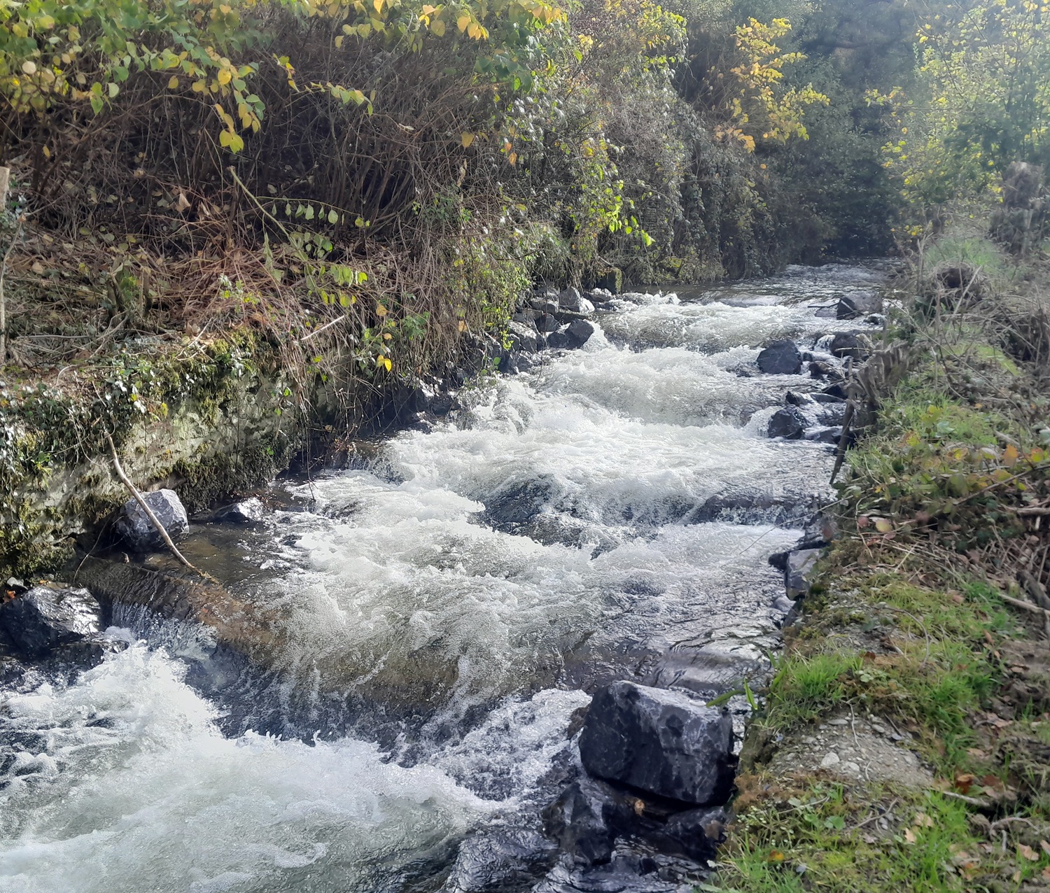 Afon Siedi weir after fish passage works.