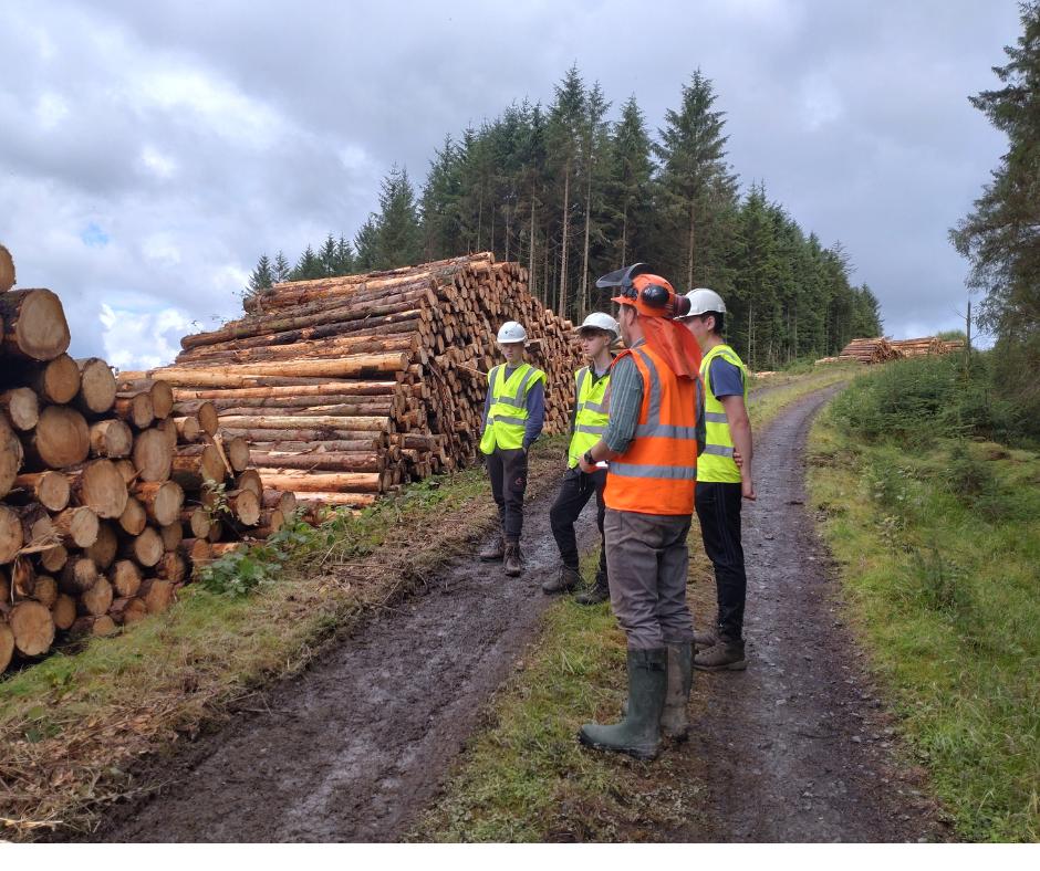 Natural Resources Wales Search For A Job natural-resources-wales-search-for-a-job