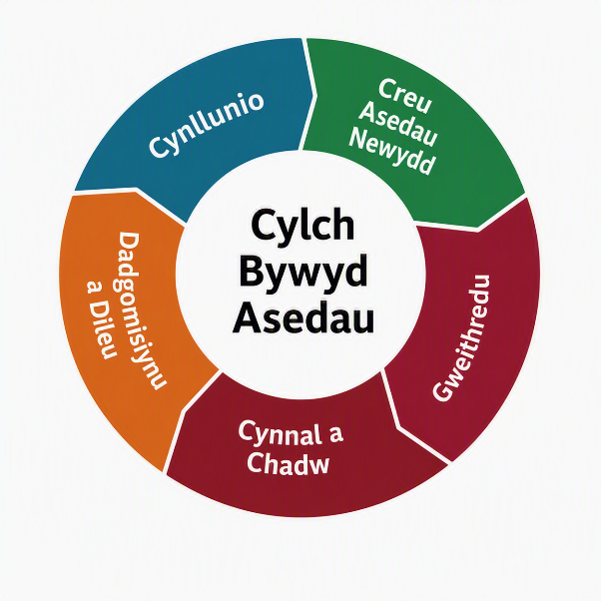 Cylch oes ased cylchol: cynllunio, adeiladu asedau newydd, gweithredu, cynnal a chadw, dadgomisiynu a thynnu'n ôl, yn ôl i gynllunio.
