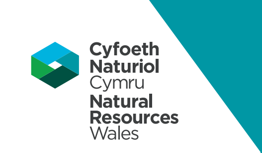 Natural Resources Wales logo Natural Resources Wales logo