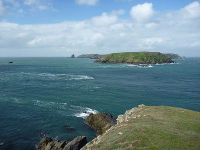 Skomer Marine Reserve picture Skomer Marine Reserve picture