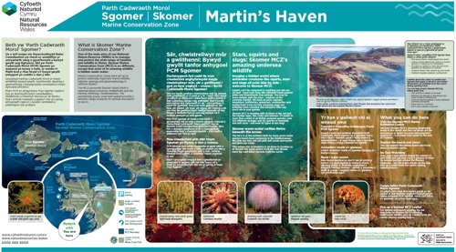 Visiting Skomer MCZ