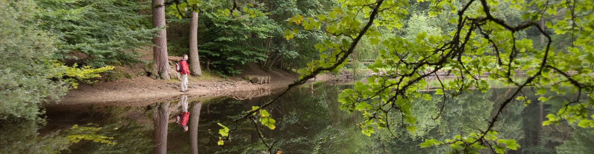 Natural Resources Wales / Clocaenog Forest - Bod Petryal, near Ruthin