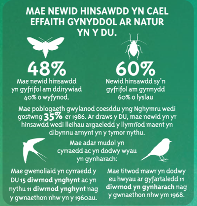 Mae newid hinsawdd yn cael effaith gynyddol ar natur yn y du. 48% mae newid hinsawdd yn gyfrifol am ddirywiad 40% o wyfynod. 60% newid hinsawdd sy'n gyfrifol am gynnydd 60% o lyslau. Mae poblogaeth gwylanod caesddu yng Nghymru wedi gostwng 35% er 1986. Ar draws y DU, mae newid yn yr hinsawdd wedi lleihau argaeledd y llymriod maent yn dibynnu amynt yn y tymor nythu. Mae adar mudol yn cyrraedd ac yn dodwy wyau yn gynharach. Mae gwenoliaid yn cyrraedd y DU 15 diwrnod ynghynt ac yn nythu 11 diwrnod ynghynt nag y gwnaethon nhw yn y 1960au. Mae titwod mawr yn dodwy eu hwyau ar gyfartaledd 11 diwrnod yn gynharach nag y gwnaethon nhw ym 1968.