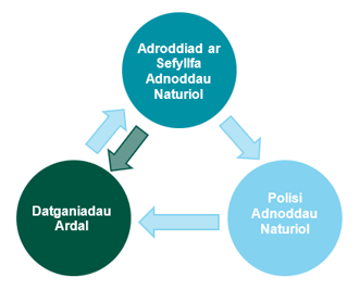 Adroddiad ar sefyllfa adnoddau naturiol, polisi adnoddau naturiol, datganiadau ardal
