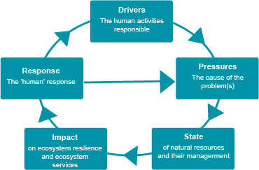 Our measures are set within the United Nations Driver-Pressure-State-Impact-Response framework. This helps us consider what drives environmental change, its impact and possible solutions.