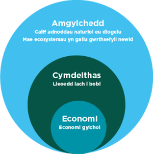 Amgylchedd, cymdeithas, economi