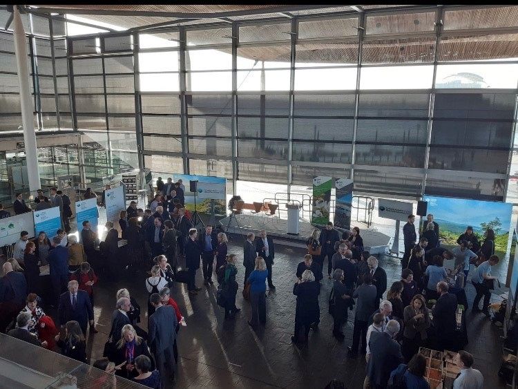 Event at Senedd Event at Senedd