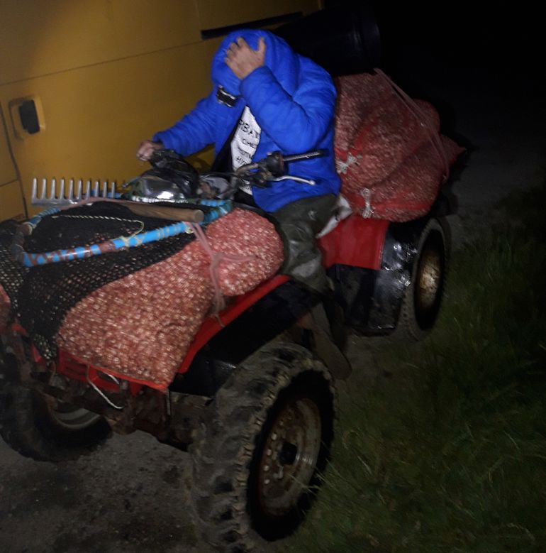 Man on a quad illegal cockling Man on a quad illegal cockling