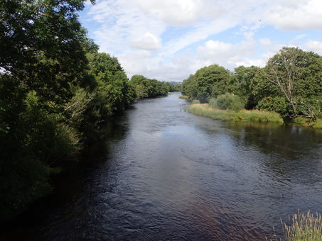 View from Pont Dyfrdwy, River Dee showing meadow habitat