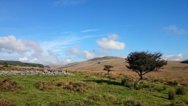 Ucheldiroedd yn dangos bloc coedwigaeth a wal cerrig sychion
