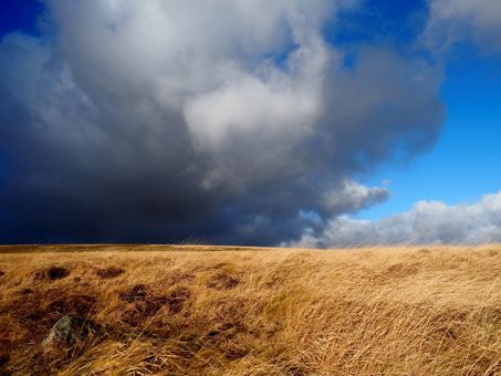 Windy uplands view with black clouds