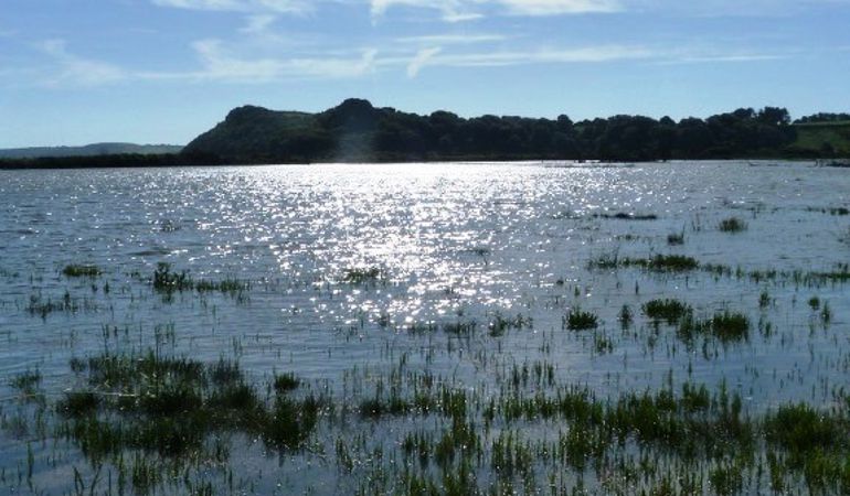 An image showing Cwm Ivy at high tide: a saltmarsh that was the result of managed realignment following a breach in the seawall in North Gower. An image showing Cwm Ivy at high tide: a saltmarsh that was the result of managed realignment following a breach in the seawall in North Gower.