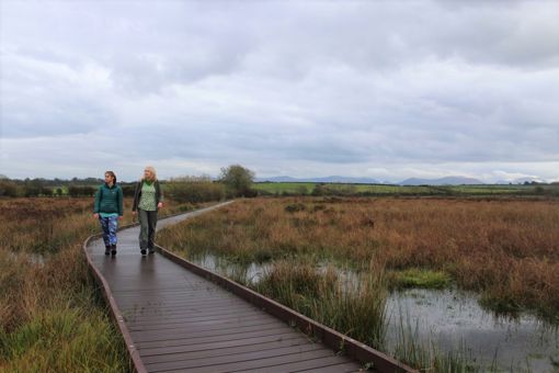 Cors Bodeilio National Nature Reserve On Anglesey, With Board Walk Improving Access To Enable People Of All Abilities To Experience This Sup