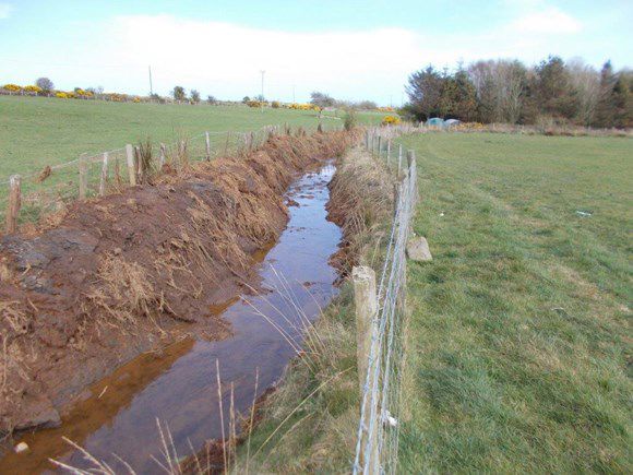 damage to water vole habitat Ynys Mon damage to water vole habitat Ynys Mon