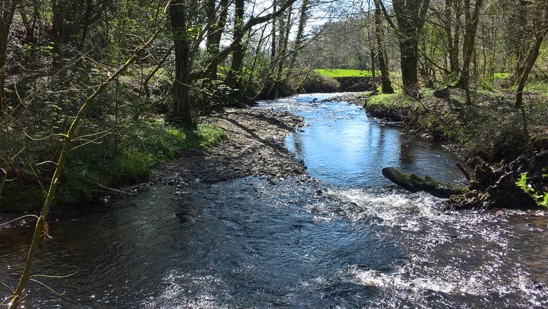 Natural section of river showing undisturbed gravel shoals Natural section of river showing undisturbed gravel shoals