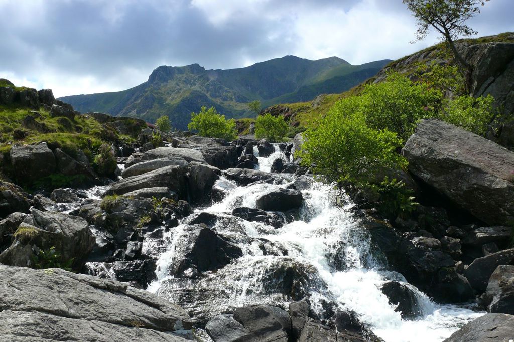 Natural Resources Wales / Sector specific information