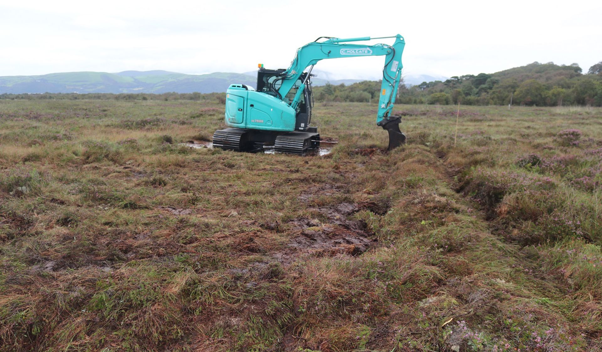 Natural Resources Wales / Vital work starts on rare bog habitats