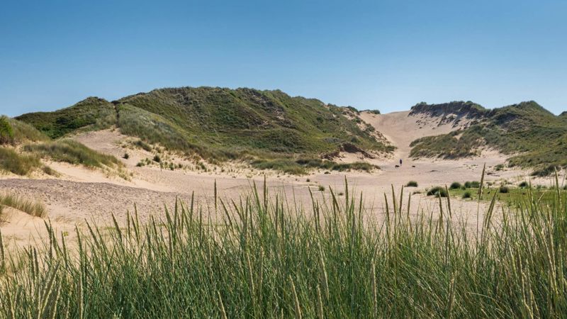 Merthyr Mawr sand dunes Merthyr Mawr sand dunes