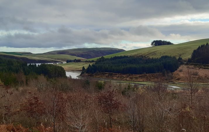 A Hafren Forest hillside and Llyn Clywedog A Hafren Forest hillside and Llyn Clywedog