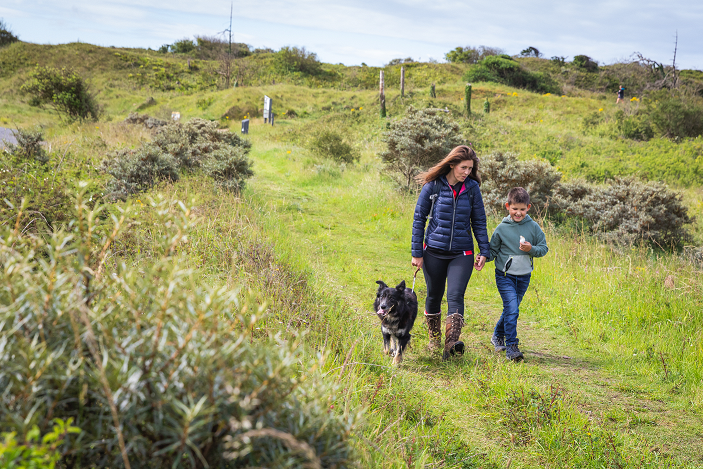 Woman, boy and dog walking at Pembrey Forest Woman, boy and dog walking at Pembrey Forest