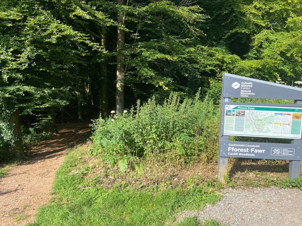 Photo of walking trail leading into the forest Photo of walking trail leading into the forest