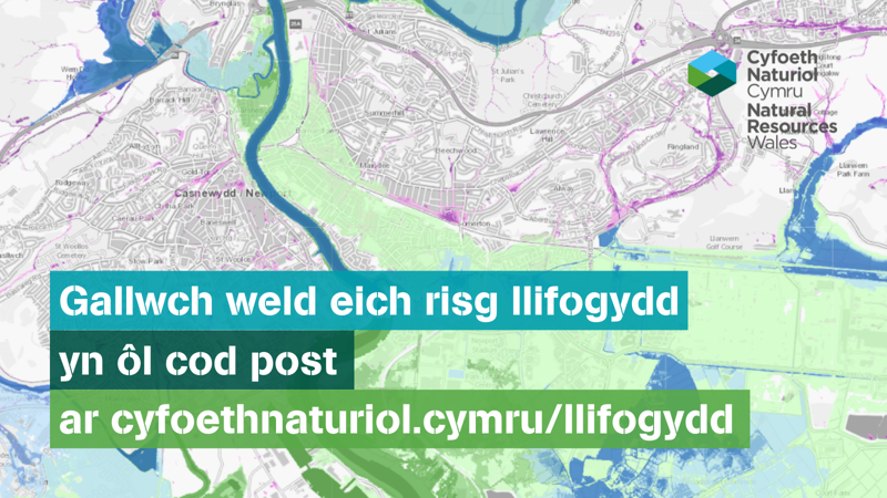Graffig sy'n dweud gallwch weld eich risg llifogydd yn ôl cod post Graffig sy'n dweud gallwch weld eich risg llifogydd yn ôl cod post