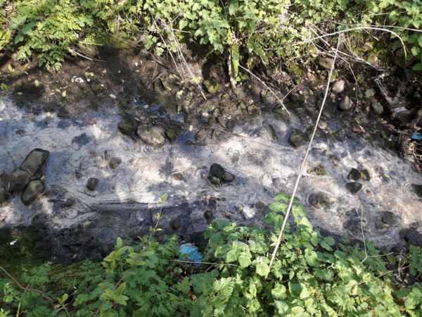 Polluted stream Polluted stream