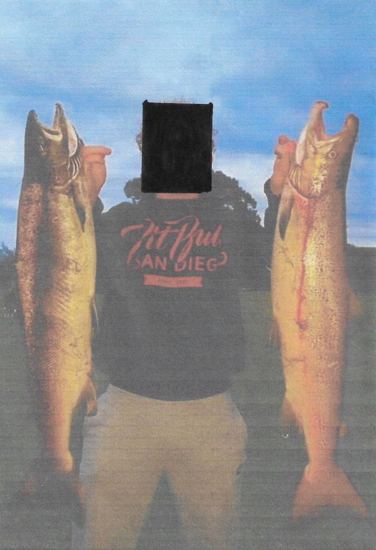 Brecon Salmon Brecon Salmon