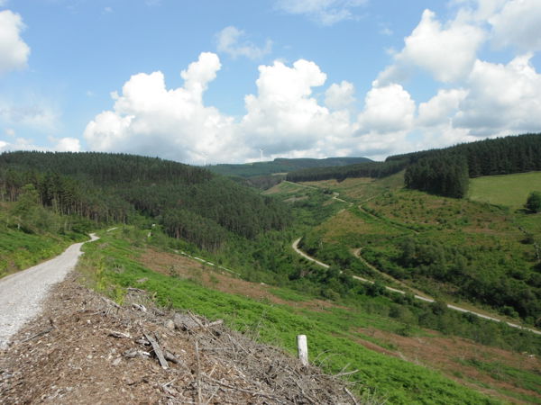 Garw woodland Garw woodland