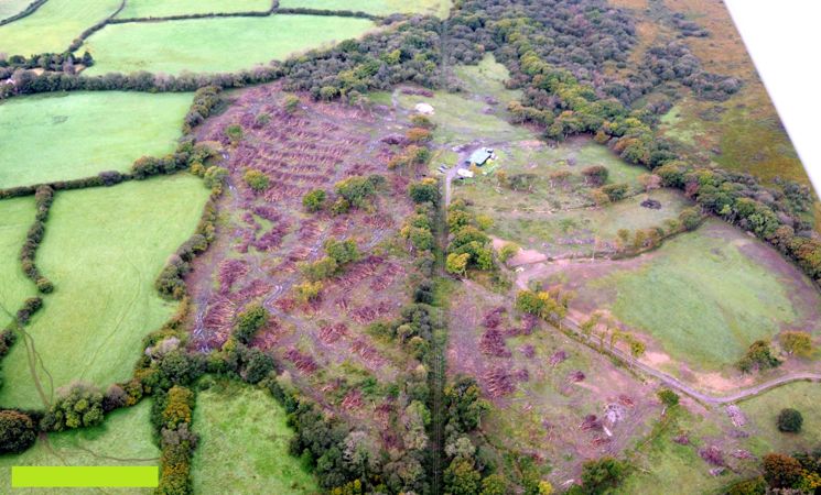 Photo Of Woodland In 2020 After Felling Photo Of Woodland In 2020 After Felling