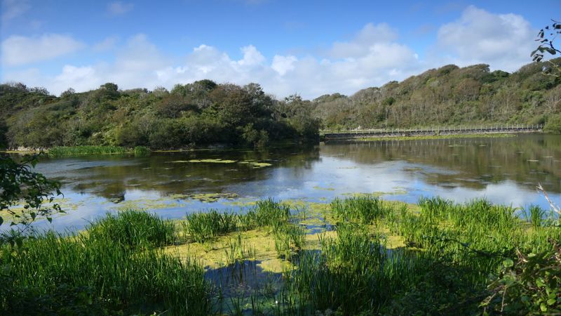 Bosherston Lakes Bosherston Lakes