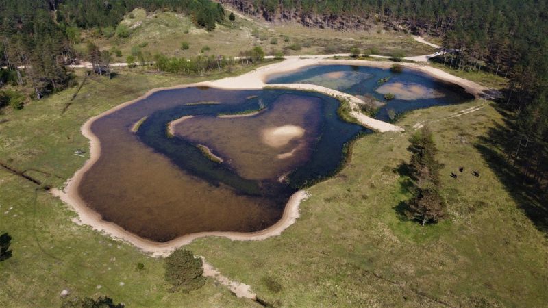 Aerial image of Pwll Pant Mawr dune pool at Newborough National Nature Reserve and Forest on Anglesey Aerial image of Pwll Pant Mawr dune pool at Newborough National Nature Reserve and Forest on Anglesey
