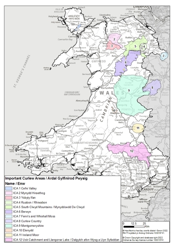 Map o Ardaloedd Pywsig Gylfinir ledled Cymru.