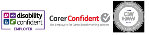 External logos for Disability Confident, Carer Confident and CIW Excellence Award