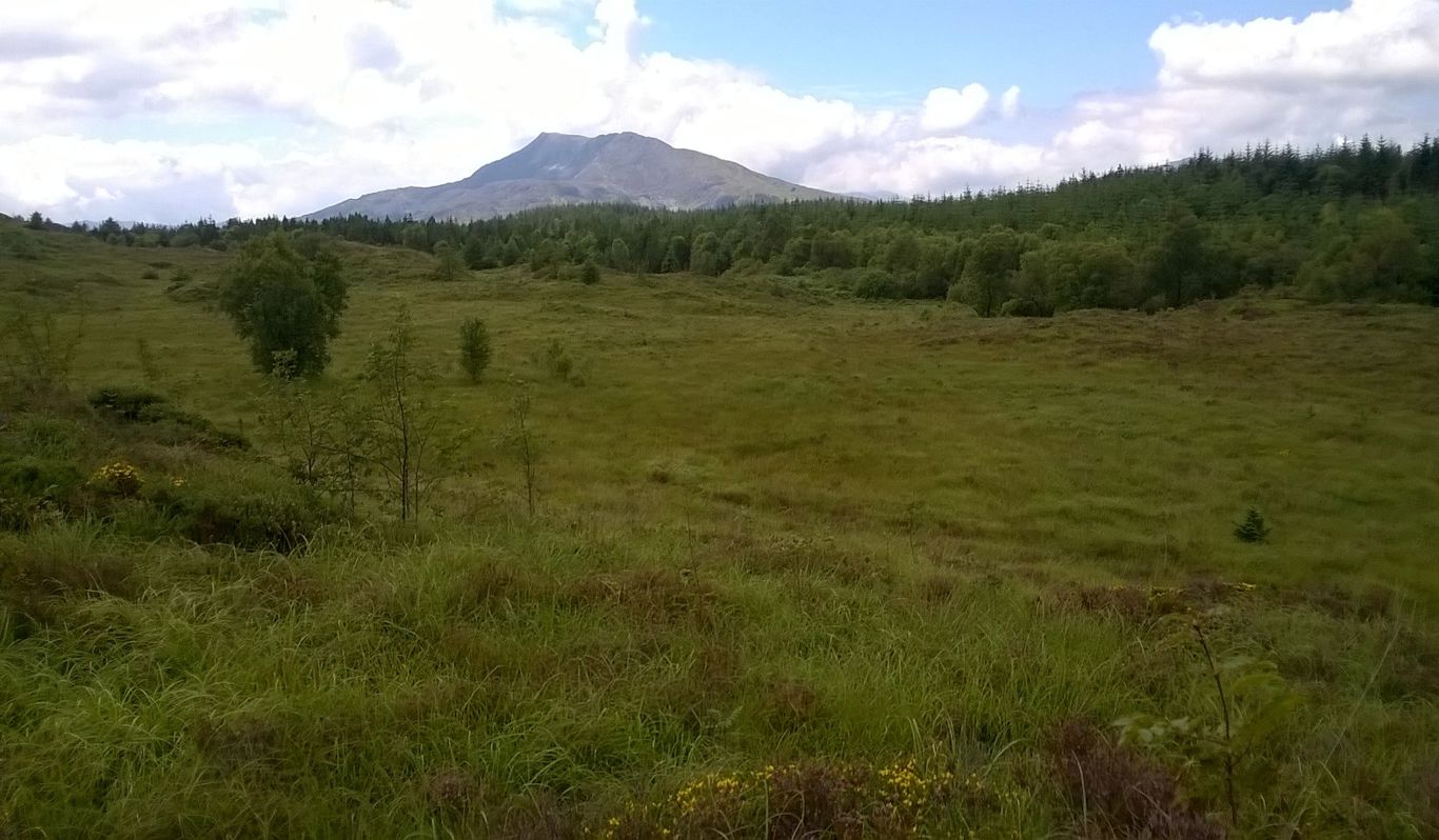 Cyfoeth Naturiol Cymru Gwahodd Y Cyhoedd Helpu I Lunio Dyfodol Cyfoeth Naturiol Cymru Gwahodd Y Cyhoedd Helpu I Lunio Dyfodol
