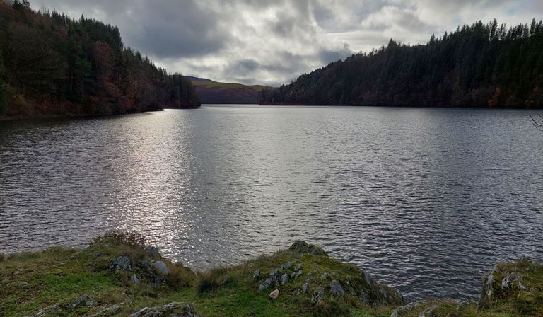 Natural Resources Wales / NRW’s welcomes the Green Paper on the future ...