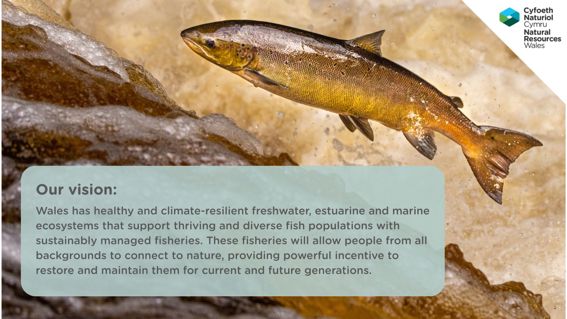 Salmon leaping with caption outlining our vision for climate resilient fisheries