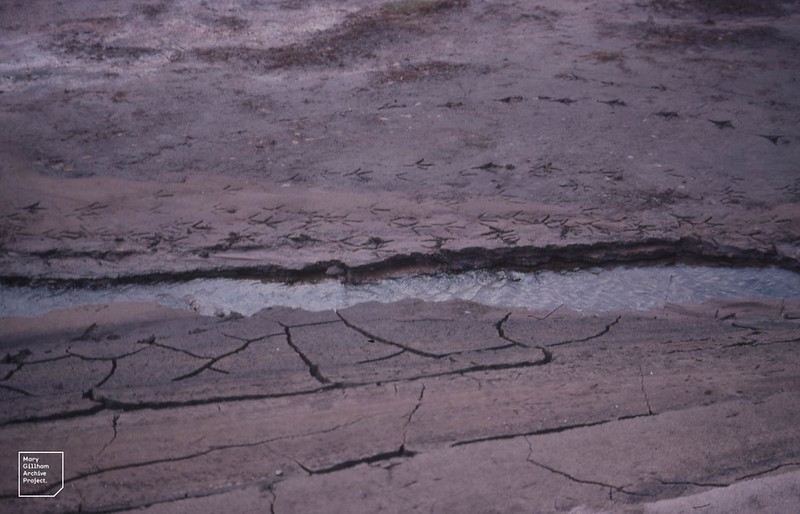 River running dry during the drought of 1976
