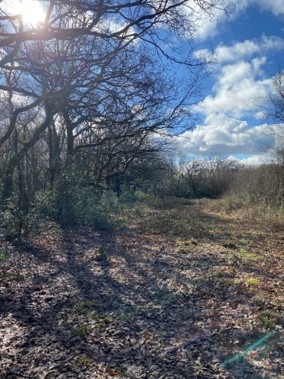 Brynna a Wern Tarw, Pen-y-bont ar Ogwr