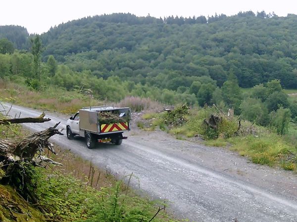Footage from a CCTV camera showing a pick-up truck full with green waste traveling up a forest road Footage from a CCTV camera showing a pick-up truck full with green waste traveling up a forest road