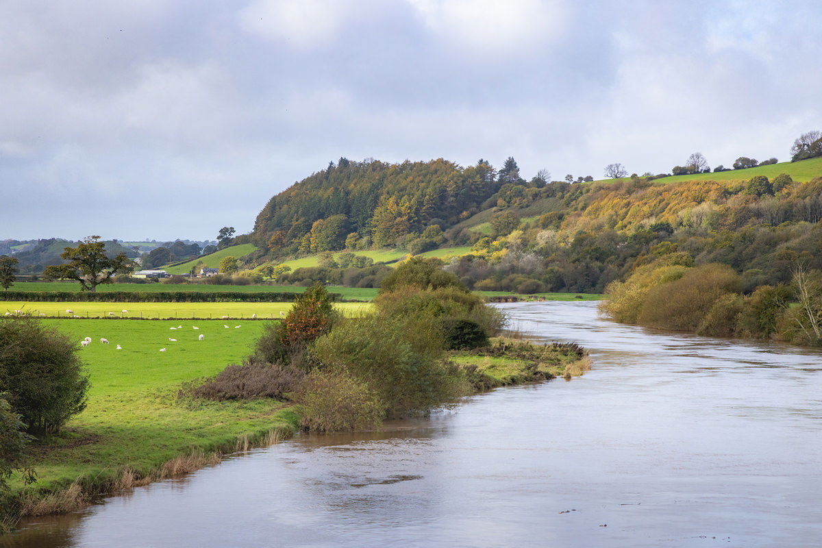 Two Rivers Wales Natural Resources Wales / Restoring the Tywi River