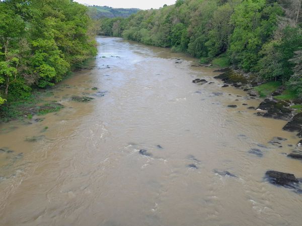 Afon Gwy â dŵr brown Afon Gwy â dŵr brown