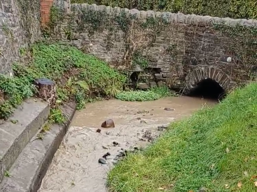 A stream polluted with silt A stream polluted with silt