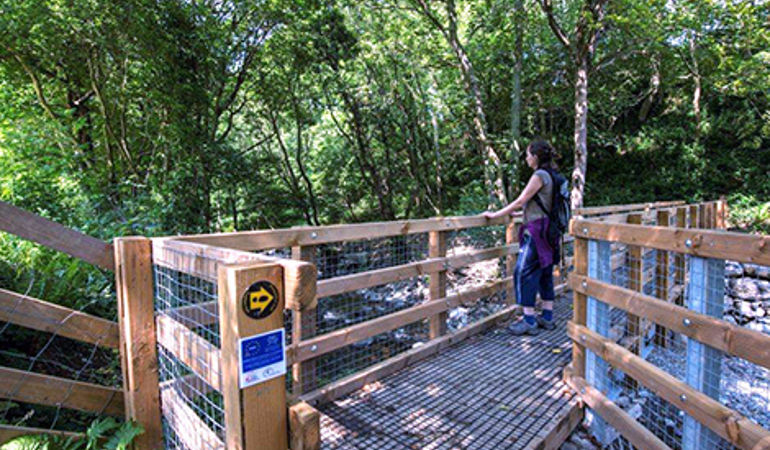 Woman using the improved path to cross a river Woman using the improved path to cross a river