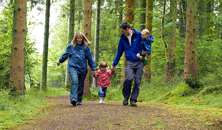 Family walking in the woods Family walking in the woods