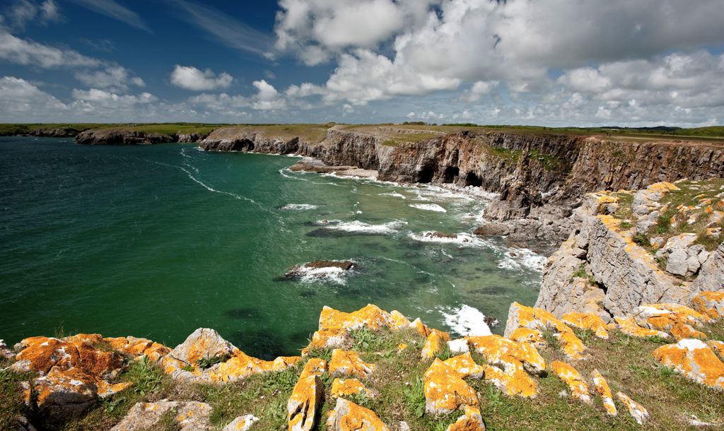 Natural Resources Wales / Afan Forest Park - Glyncorrwg Mountain Bike ...