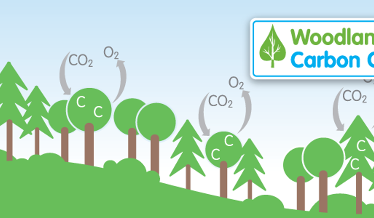 The UK Woodland Carbon Code The UK Woodland Carbon Code