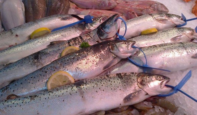 Tagged fish that have been caught illegally Tagged fish that have been caught illegally